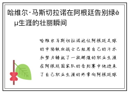 哈维尔·马斯切拉诺在阿根廷告别绿茵生涯的壮丽瞬间 哈维尔·马斯切拉诺在阿根廷告别绿茵生涯的壮丽瞬间